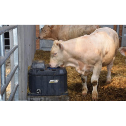 POLYTHERME 1 ball drinker : p1130471
