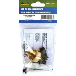 Maintenance kit for brass and Stainless steel pilot valve : p1130605