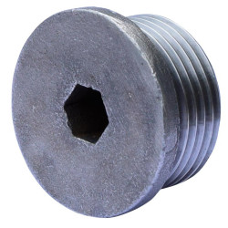 Plugs for T fittings : p1130846