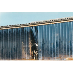 PVC strip curtain 20 cm : p1141701