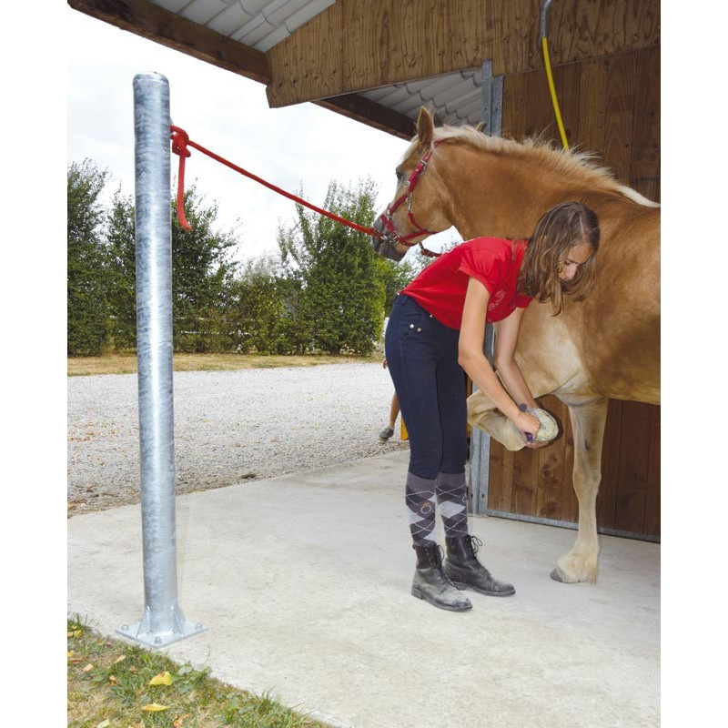 Hitching post : p1212611