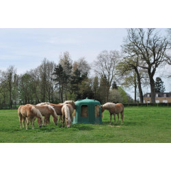 RPE GM hay without base : p1213745