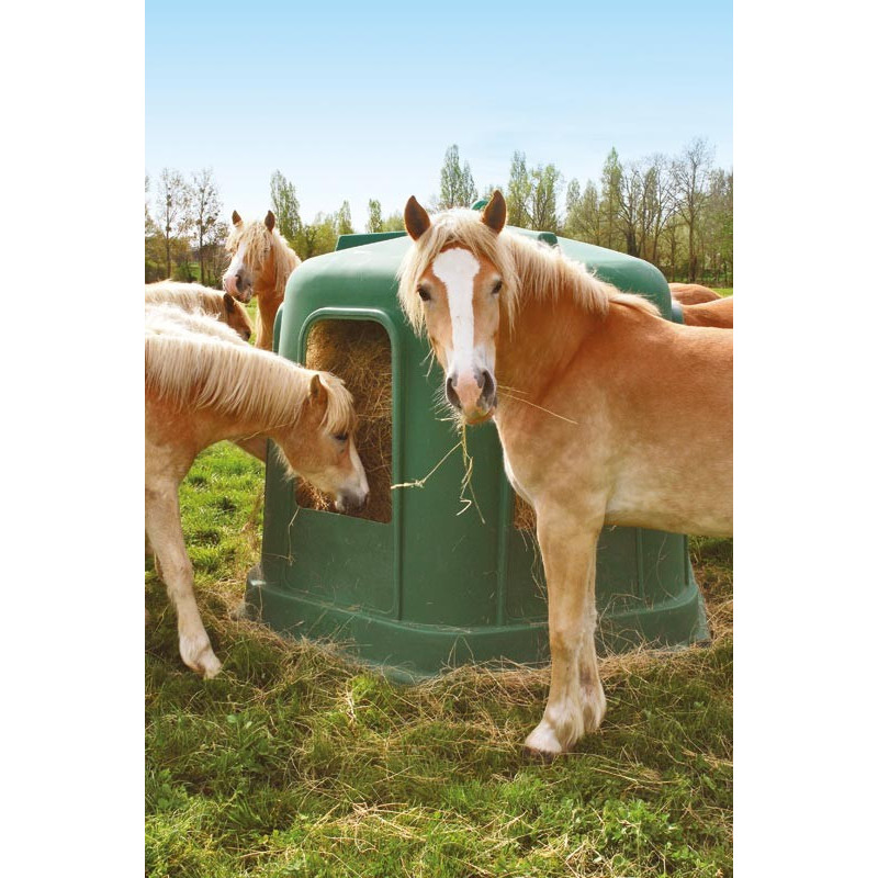 RPE GM hay without base : p1213745