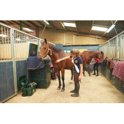 Mobile vertical trunk for saddle horses : p1215543