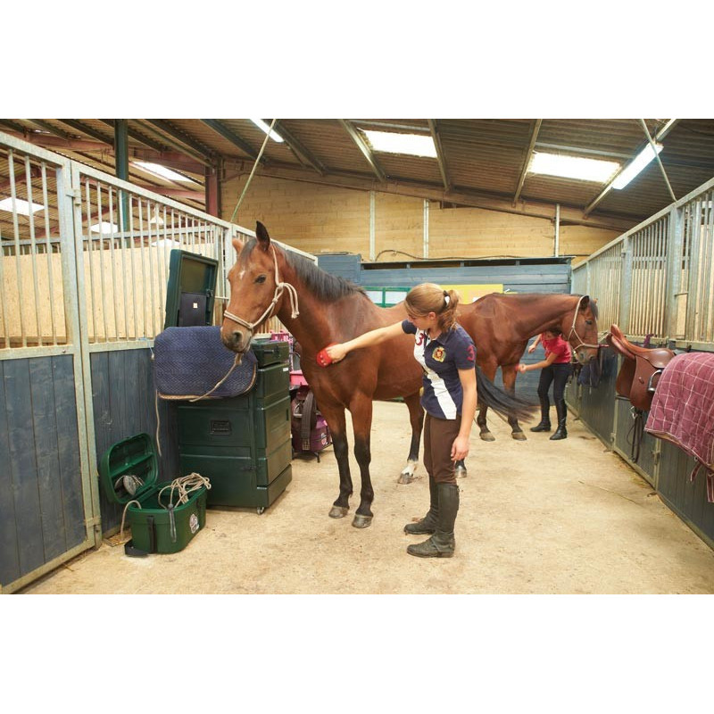 Mobile vertical trunk for saddle horses : p1215543