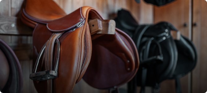 Saddlery equipment