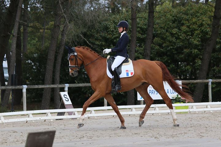 Carla-Marie_Dufil_dressage_rider