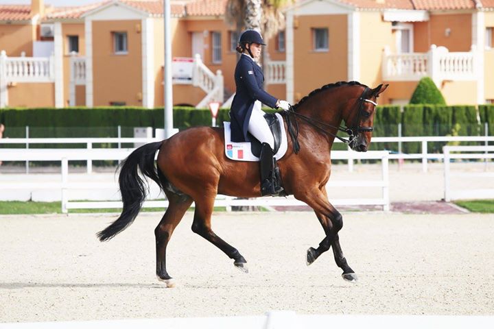 Caroline_Dufil_dressage_rider